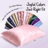 image:imageOLESILK Toddler 100 Mulberry Silk Pillowcase Zipper 13x 18 Ivory  Both Sides 19 Momme Pure Natural Silk Smooth Soft and Breathable for Baby Girls and Boys Hair and Skin Care Travel SizeCoral Pink