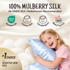 image:imageOLESILK Toddler 100 Mulberry Silk Pillowcase Zipper 13x 18 Ivory  Both Sides 19 Momme Pure Natural Silk Smooth Soft and Breathable for Baby Girls and Boys Hair and Skin Care Travel SizeLight Blue